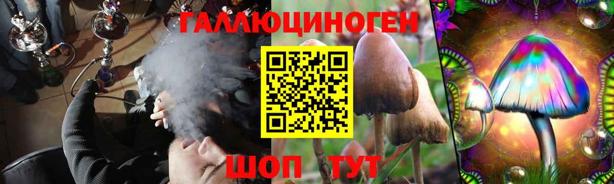 Псилоцибиновые грибы Psilocybine cubensis Подольск